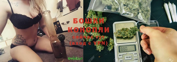 дживик Верхний Тагил