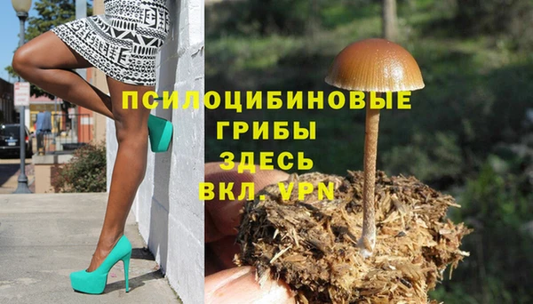 дживик Верхний Тагил