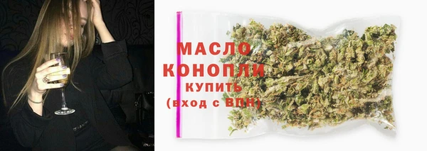дживик Верхний Тагил