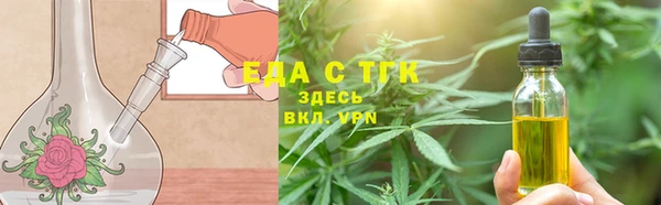 дживик Верхний Тагил
