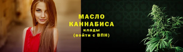 дживик Верхний Тагил