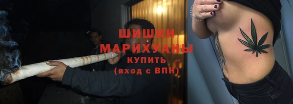дмт Краснослободск