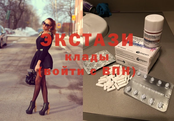 дживик Верхний Тагил