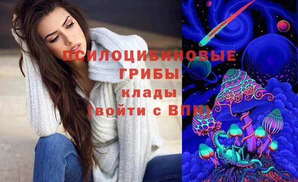 молекула духа Верея